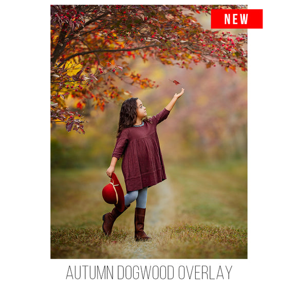 Autumn Dogwood Overlay