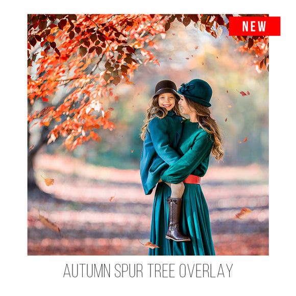 Autumn Spur Tree Overlay