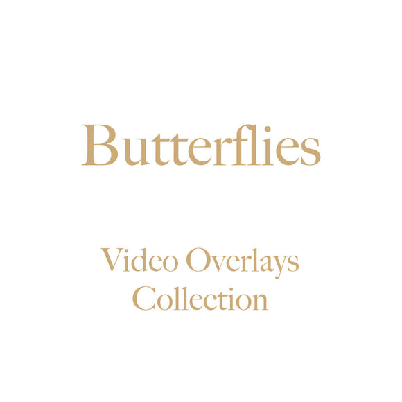 Butterflies Video Overlays Collection  •  No Tutorials  •  NEW