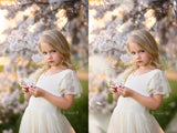 Spring Blossom Overlays Collection