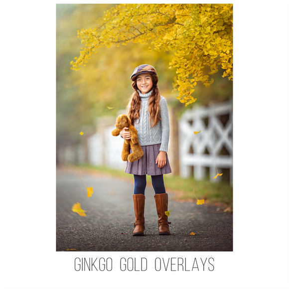 Ginkgo Gold Overlays Set