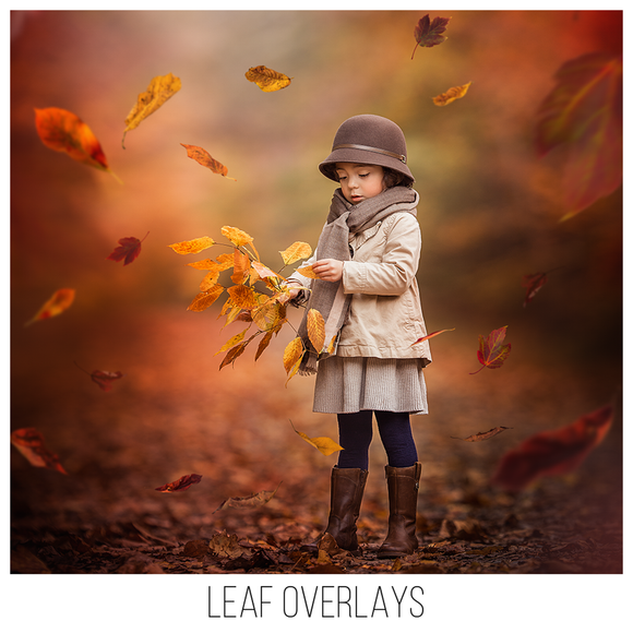 Fall and Leaf Overlays Set