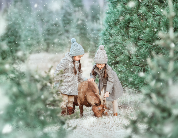 Winter Wonderland Photoshop Action Set