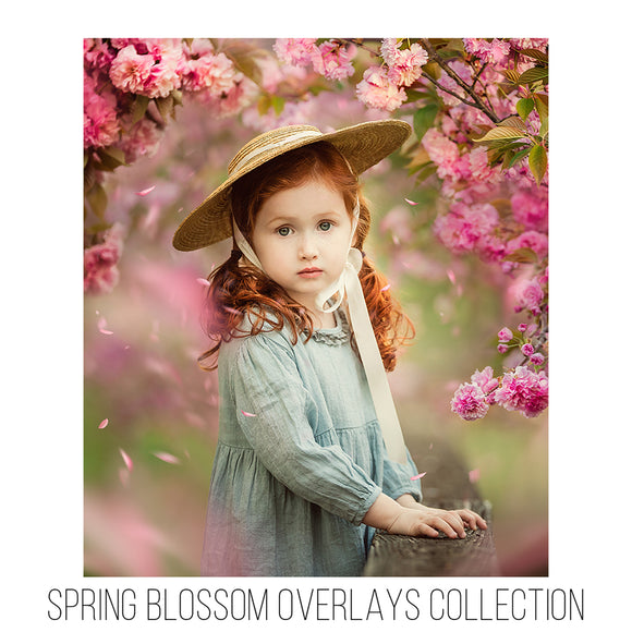 Spring Blossom Overlays Collection