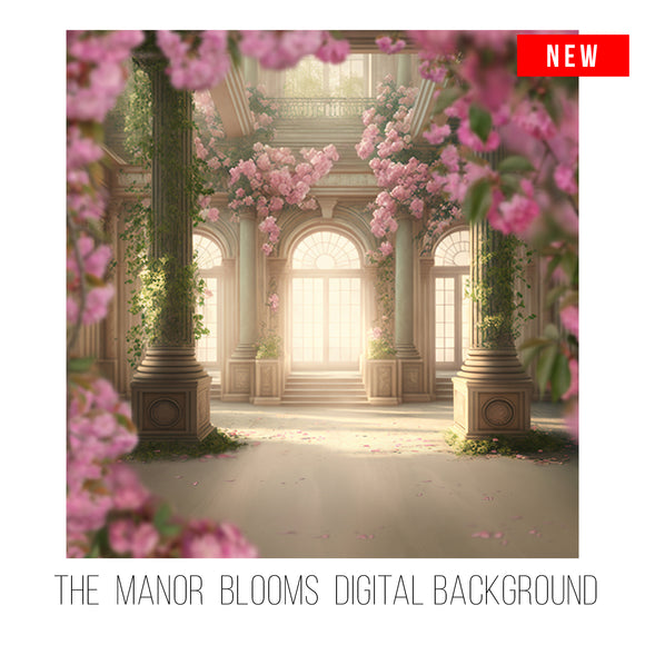 The Manor Blooms Background I  Single