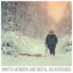 Winter Wonderland Background Set Of 3
