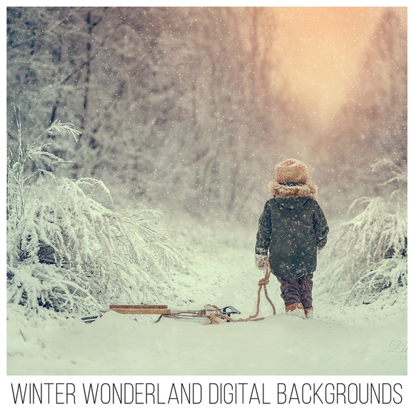 Winter Wonderland Background Set Of 3